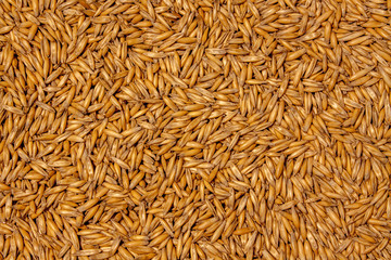 Texture background of grains of oats with focus in the center. 