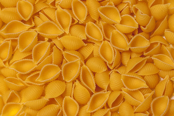Background from raw pasta cockleshell close-up. View from above.