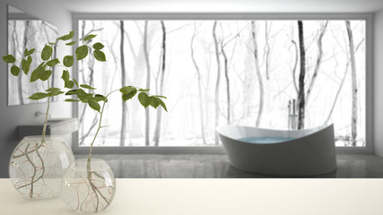White table top or shelf with glass vase with hydroponic plant, ornament, root of plant in water, branch in vase, house plant, modern blurred bathroom background, interior design