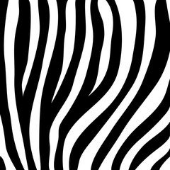 Fototapeta na wymiar zebra print, animal skin, black and white stripes, vector