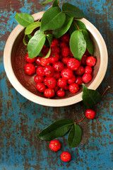 Tropical fruit also called Pitanga, Brazilian Cherry, Suriname Cherry. 