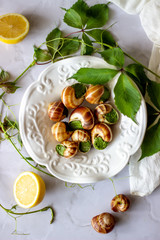 Bourguignonne snail with lemon. Marble background. French cuisine.