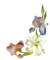 Flowers. Floral background. Irises. Pink. Blue. Leaves. Lilies. Border. White. Green.