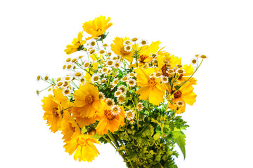 bouquet of chamomile isolated on white background