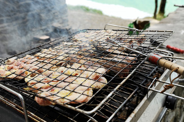 Meat grilled on the barbecue grill. Dinner picnic party concept. Grilled food background. Forest in background. Copy space.