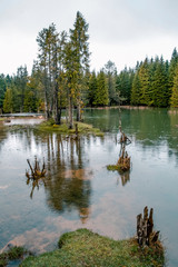  Beautiful forest in a small lake in Opakua, Basque Country, Spain