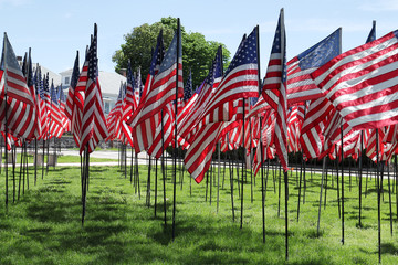 Memorial Day in USA - American flags arranged in rows on Fort Square, Quincy, Massachusetts