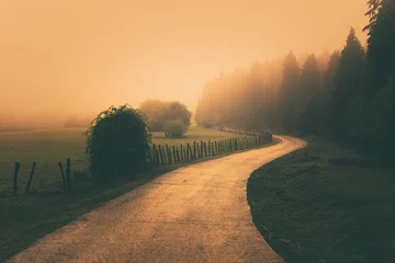 Fotobehang vintage natuurlandschap met een mistig pad © mimadeo