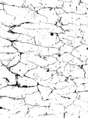 Obraz premium Vector crack texture. Grunge crash scratch. Isolated broken old damage rust. Overlay noise and grain dry texture.