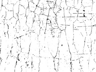 Vector crack texture. Grunge crash scratch. Isolated broken old damage rust. Overlay noise and grain dry texture.