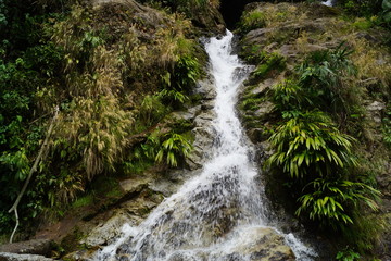 Cascada, arroyo