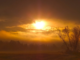 Fototapeta na wymiar sunrise over the misty forest