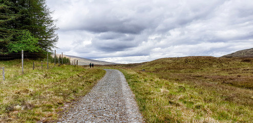 Fototapeta premium West Hiland Way Track, landscape between Bridge of Orchy and Kingshouse, long distance hike - Scotland, UK