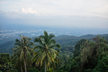 Fototapeta na wymiar Beautiful tropical landscape with palm trees, seen from Doi Suthep viewpoint. From Chiang Mai, Thailand.