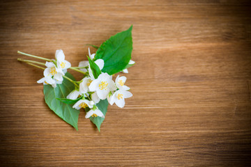 beautiful white jasmine flowers on a branch on table