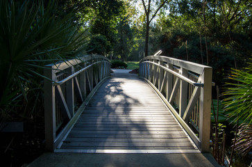 Wooden bridge running through a garden