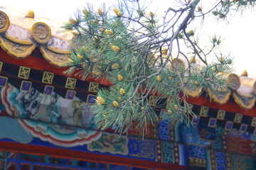 Summer palace in China