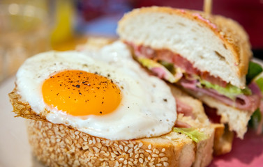 Fried egg sandwich with white bread. Healthy breakfast, Closeup view.