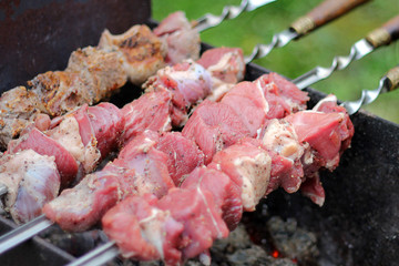meat on skewers roasted over the coals.picnic in nature. preparation of a shish kebab.