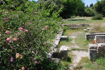 Athens, Greece / May 2019: Flowers at the archaeological site of the Ancient Agora of Athens.