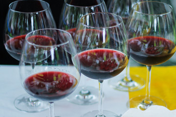 red wine in large glass glasses. picnic in nature.