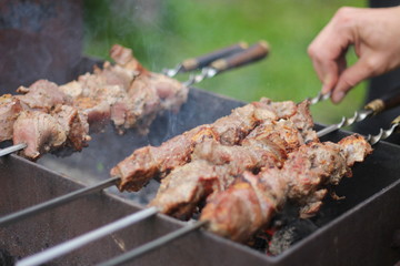 meat on skewers roasted over the coals.picnic in nature. preparation of a shish kebab.
