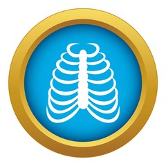 Rib cage icon blue vector isolated on white background for any design