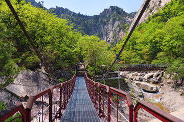 North Korea. Diamond mountains. Mt.Kumgang