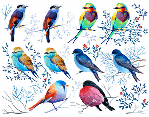 Fototapeta premium Gouache collection of birds on branches and leaves