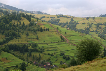 Naklejka premium Summer green mountain slopes in the Carpathians