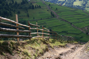 Mountain path on the green slope of the Carpathians