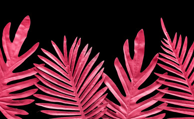 Collection of tropical leaves,foliage plant in red color on black space background