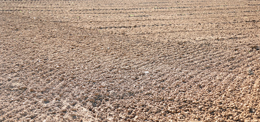 brown plowed land before sowing in spring