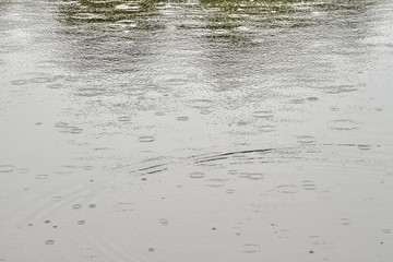 Auf einem Teich sind Kreise von Regentropfen zu sehen.