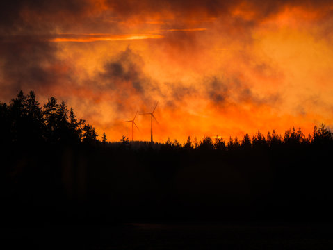 Forest fire in night time. Windmills in background. Dark image with silhouette of tree.