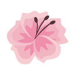 flower blossom icon cartoon isolated