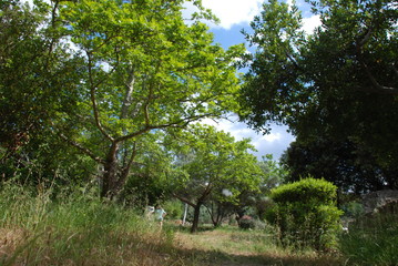 Athens, Greece / May 2019: The archaeological site of the Ancient Agora of Athens.