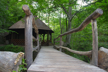 Save the environment, beautiful green park and forest with waterfall and small pure drinkable water creek, Romania, Bigar Cascade Falls, near Poneasca city, 04 June 2019