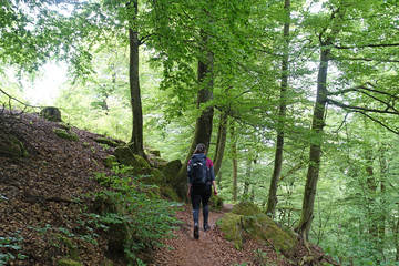 Felsenwanderweg Rodalben