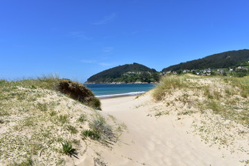 Beach with vegetation in sand dunes. White sand, blue sea, sunny day. Lugo, Spain.