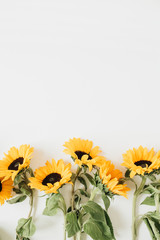 Sunflowers on white background. Flat lay, top view.