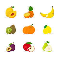 Tropical fruits vector illustrations set