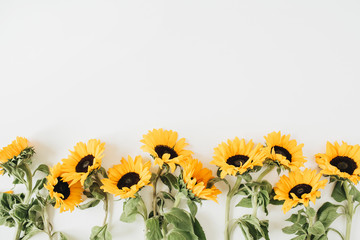 Sunflowers on white background. Flat lay, top view blog hero header.