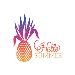 hello summer label with colorful image