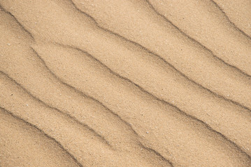 Fototapeta na wymiar golden sand lines