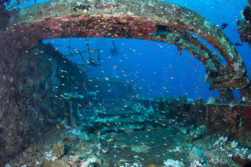Wreck of the Salem Express. Red sea, Egypt.
