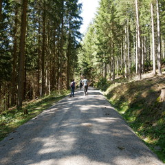 Obraz premium Wanderung