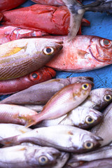 Fish market in Asia. Catching sea and ocean animals in the Indian Ocean. Tuna on shelves for sale. Exotic background