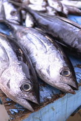 Fish market in Asia. Catching sea and ocean animals in the Indian Ocean. Tuna on shelves for sale. Exotic background