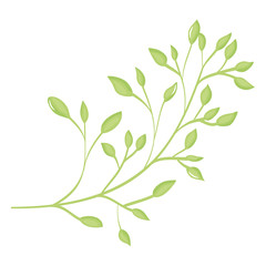 branch with leafs plant icon